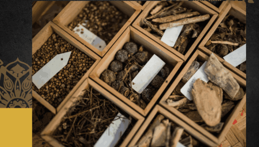 2_blog prabu univers